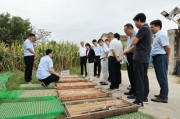 “发现一处金矿”引关注，江苏探寻“地下宝藏”取得重大成果