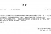 武汉中院作出二审判决：驳回杨某媛的上诉，维持原判