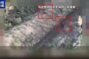 俄称在对乌特别军事行动几乎所有方向保持攻势
