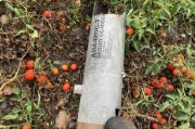 “波兰F-16战机发射导弹偏离轨迹误坠民宅”？波总统下令：迅速查明