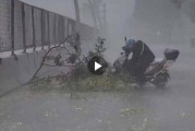 上海突降暴雨，大树枝砸落车前！外卖小哥及时出手