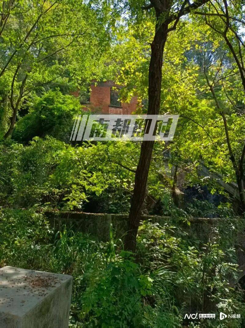 最新消息！杭州已锁定“化骨水”所有者，目前共发现3桶