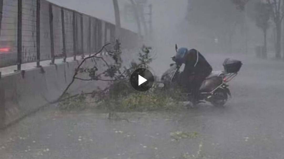 上海突降暴雨，大树枝砸落车前！外卖小哥及时出手