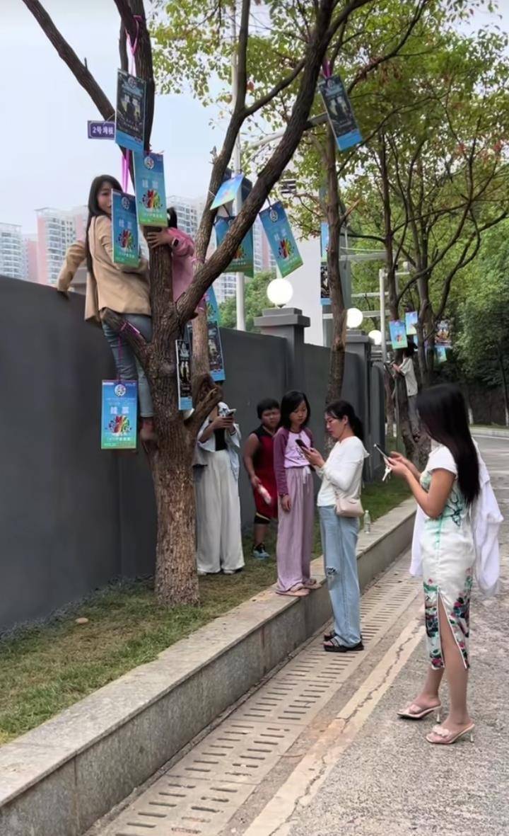 “湘超”永州主场一票难求，官方推出“树上挂票”并提醒：每棵树限挂160斤以下的3人，严禁带蛇观赛